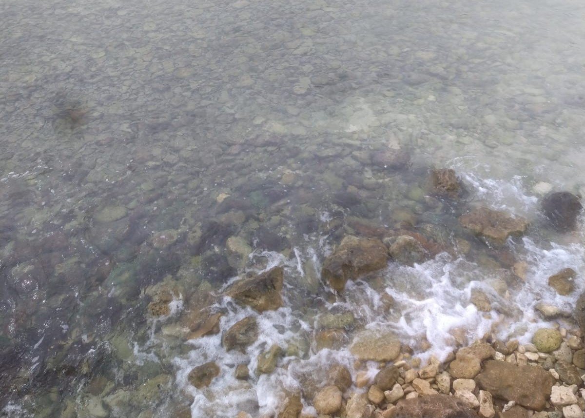 Equipo de Viajes en Oferta en oficina